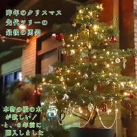 画像248