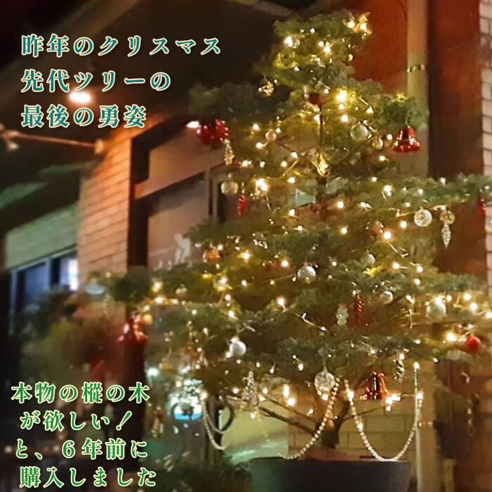 画像248