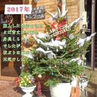 画像249