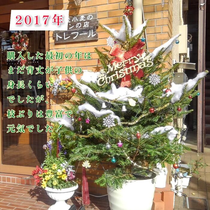 画像249