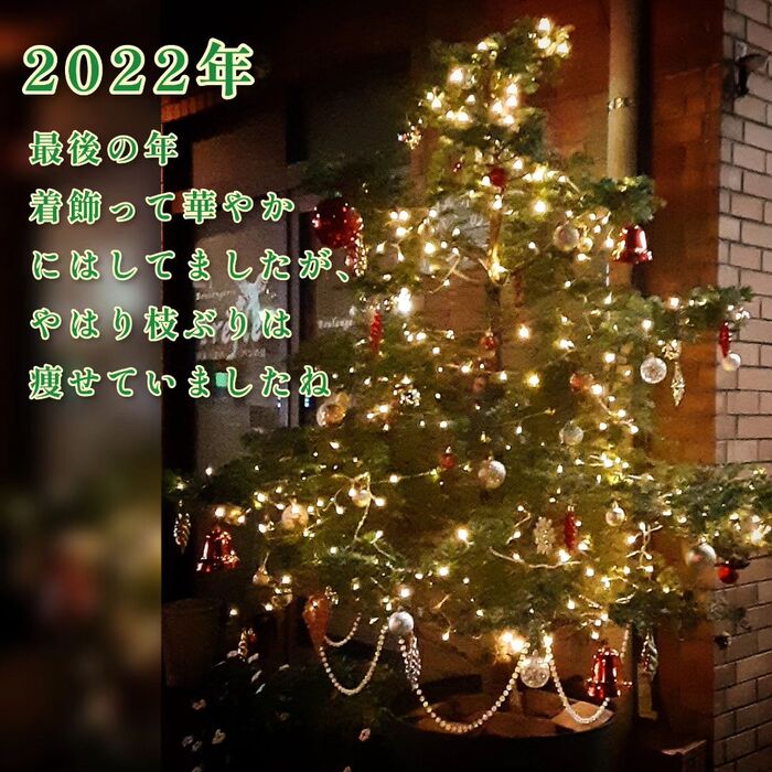 画像251