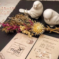 画像313