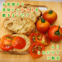 画像318