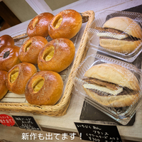 画像441