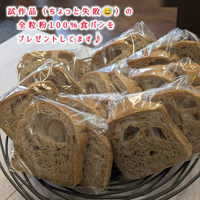 画像442